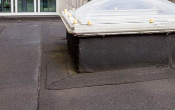 disadvantages of Pedair Ffordd flat roofs