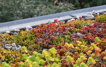 the cost of Pedair Ffordd green roof installation
